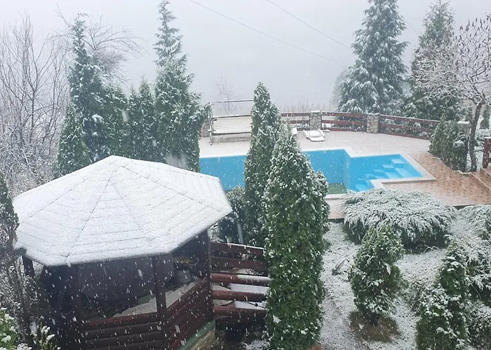 فيلة Gorska Bb باغينا باستا