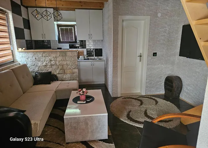 فيلة Gorska Bb *